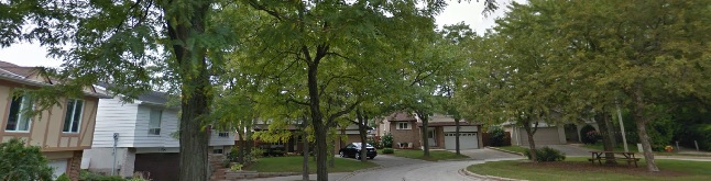 Falgarwood
