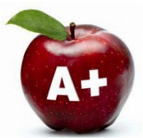 school ranking in mississauga commentary