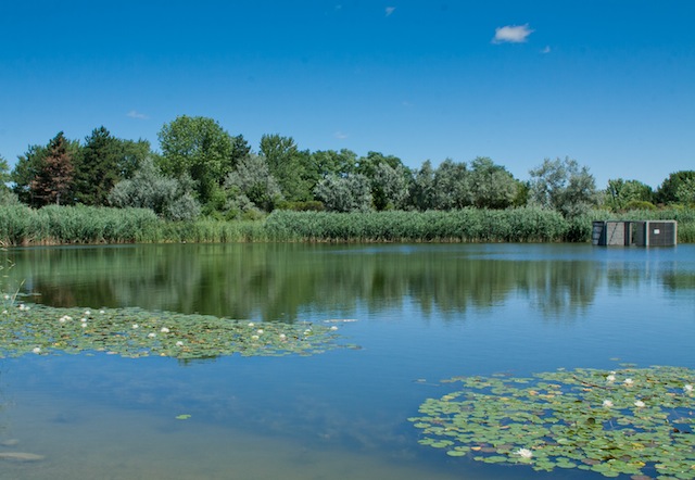 lake aquitaine mississauga