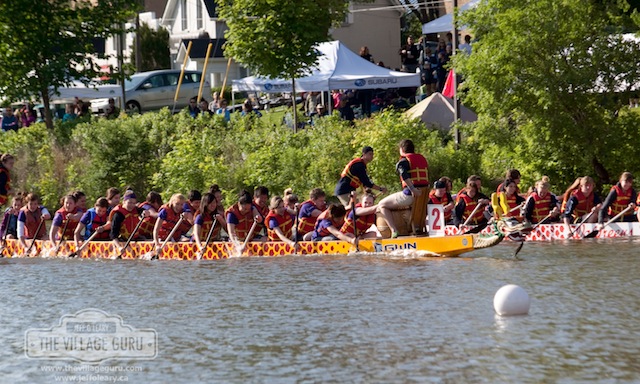 Port Credit Dragon Boat Races